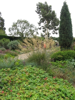 Beth Chatto Garten